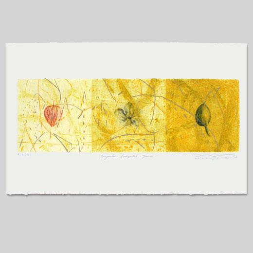 Composition horizontale - jaune - 2003 / 13,2cmx39,7cm / eau-forte - bois/ tirage  40