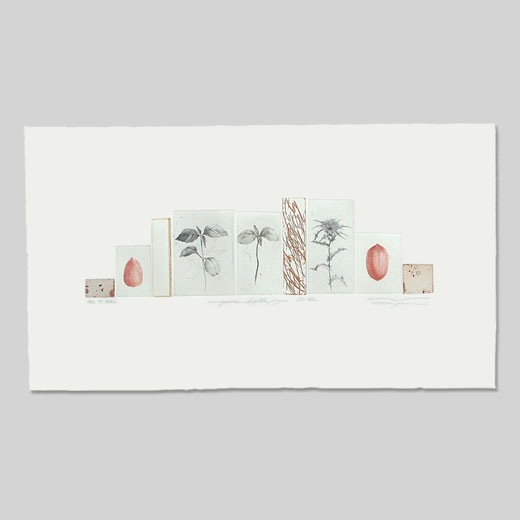 Composition de petites plaques - 97 VIII / 30,5cmx64cm / eau-forte / tirage 20