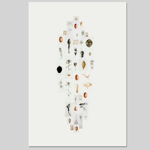 Composition verticale / eau-forte /